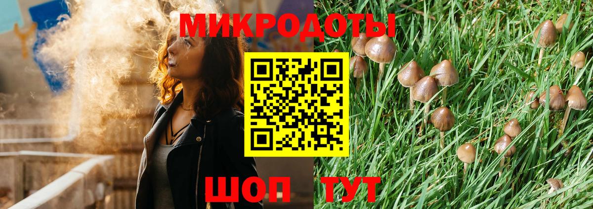 наркошоп  Вход с VPN  Тутаев  Псилоцибиновые грибы ЛСД  Псилоцибиновые грибы мицелий 